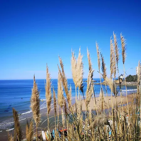 D'hotes Bibicheri ベッド・アンド・ブレックファスト 5*