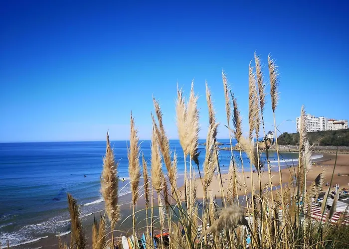 D'hotes Bibicheri Bed and Breakfast 5*